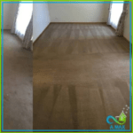 carpet cleaning adelaide