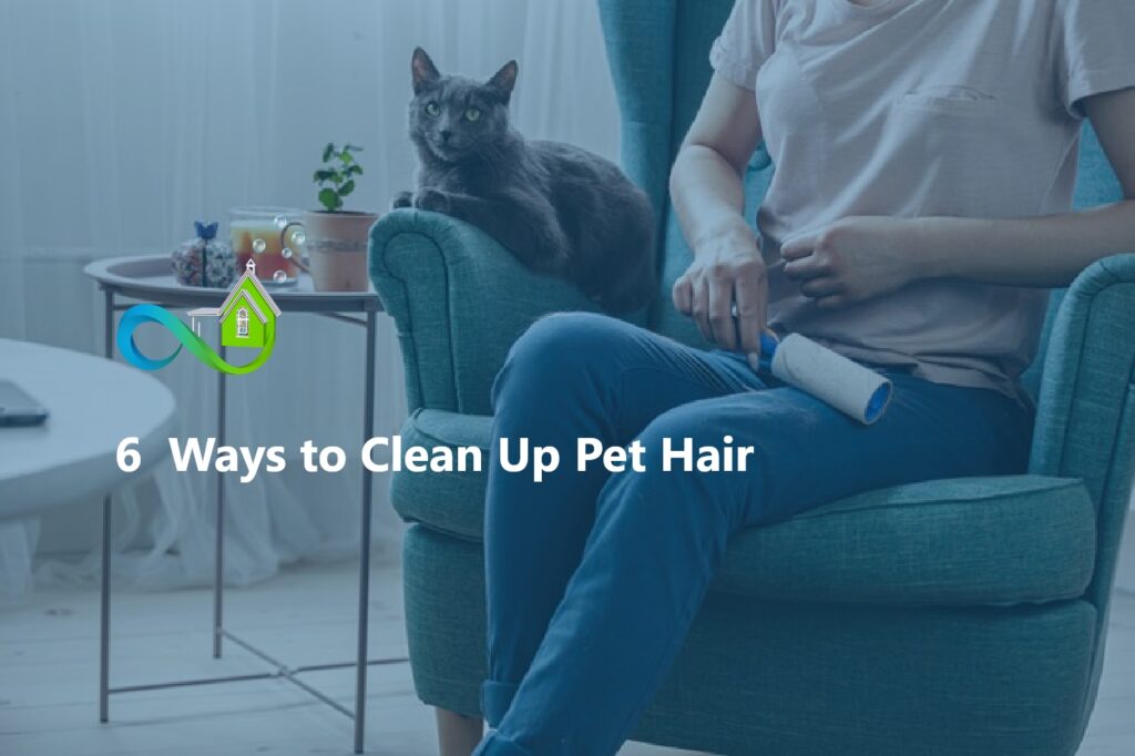 6 Ways to Clean Up Pet Hair