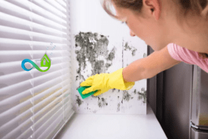 cleaning walls in adelaide