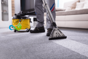 carpet cleaning professional cost