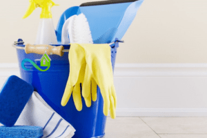 how to clean your house in one day