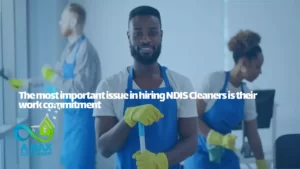 NDIS Cleaner