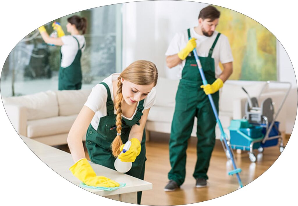 Ndis carpet cleaning adelaide services