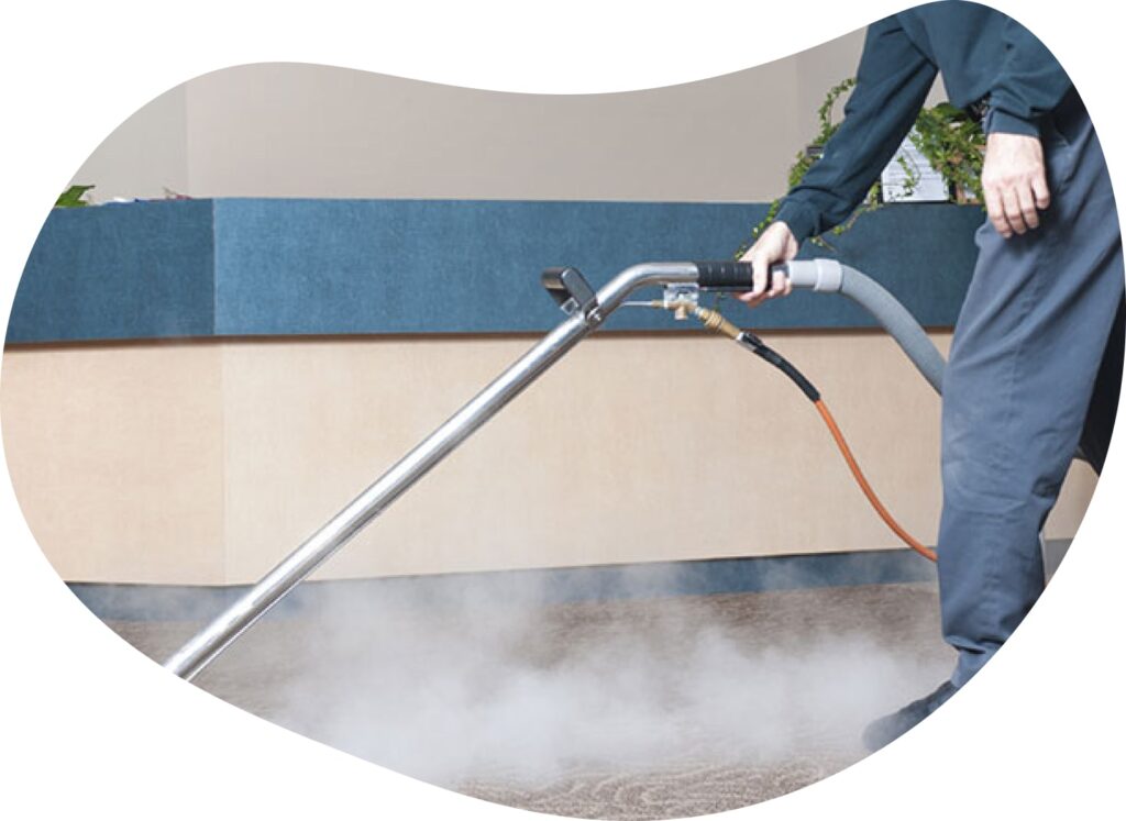All about professional carpet cleaning