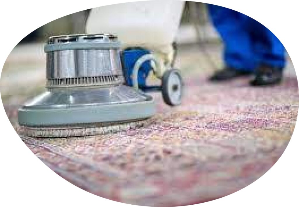 professional carpet cleaning in Melbourne