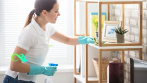 The best fast House cleaning tips in 2023 