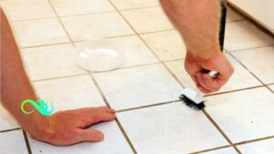 All about the most important reasons for Grout cleaning