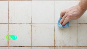 Guide to Clean Ceramic Tile 2024