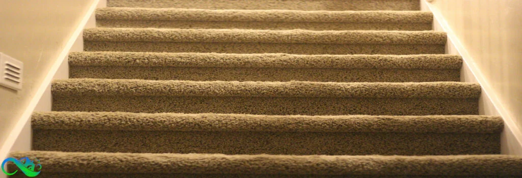 carpet-on-stairs-cleaning