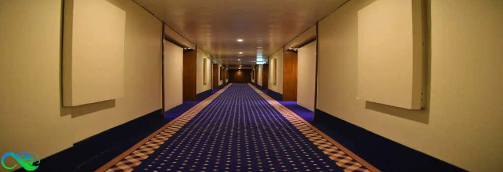 cleaned-carpet